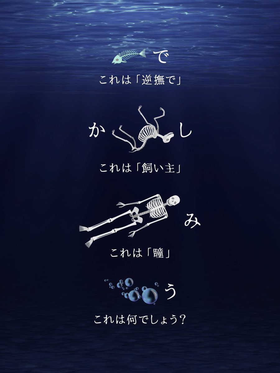 芹沢仁菜 tweet media