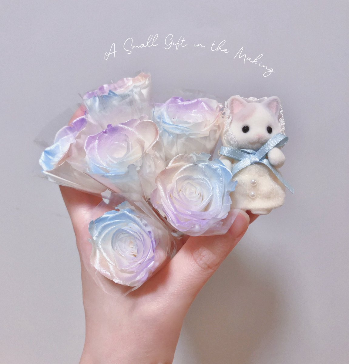 宇井@テーマパークミニチュア🎡 tweet media