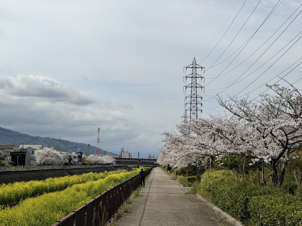 K Hishikawa tweet media