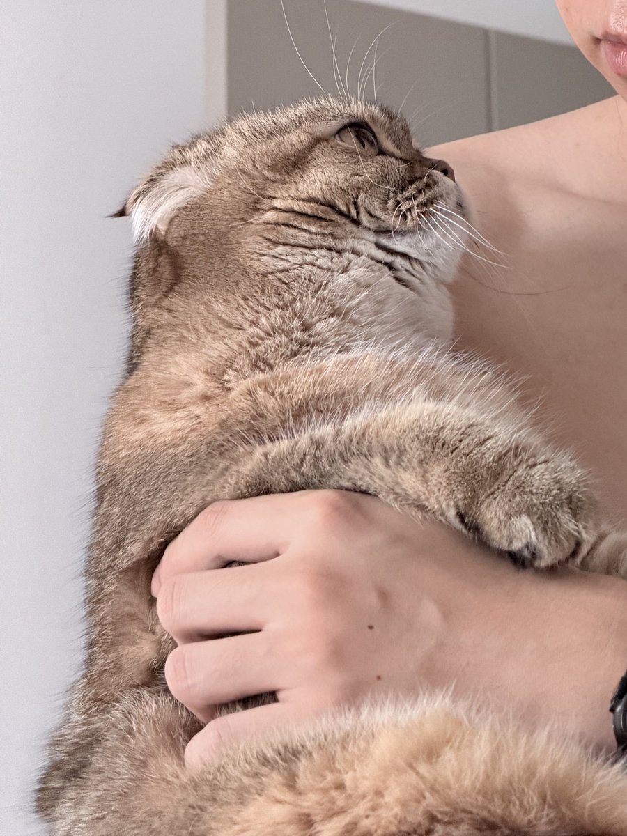 *: 민지✨꒱ tweet media