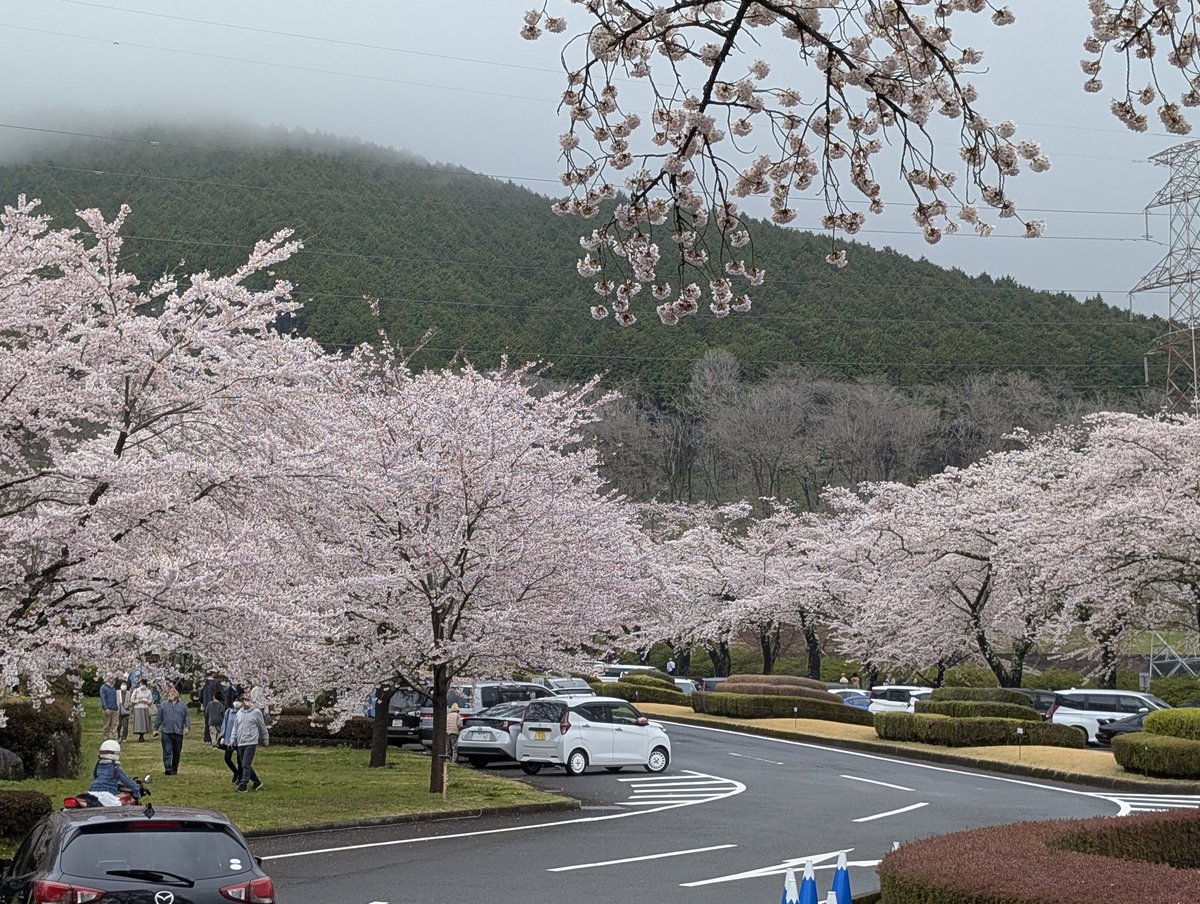 しいば tweet media