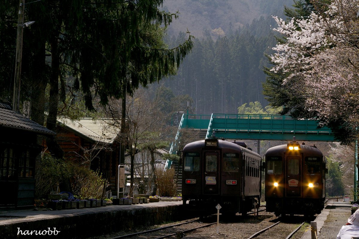 haruobb＠Photos tweet media