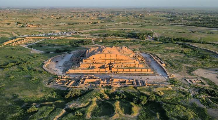 Ali Afshari tweet media