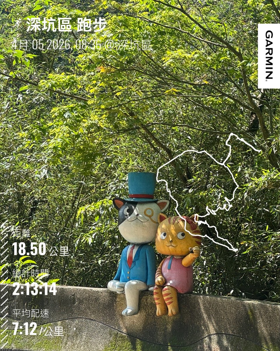 🦊狐狸歐巴 tweet media