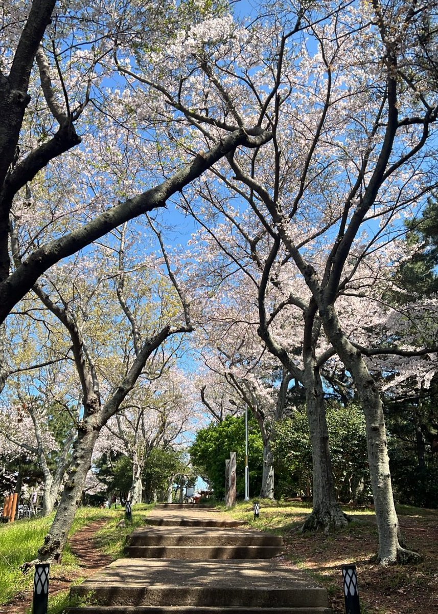 taecyeonok_hkfans tweet media