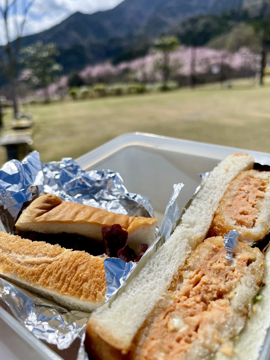 Alice_Chocolat tweet media