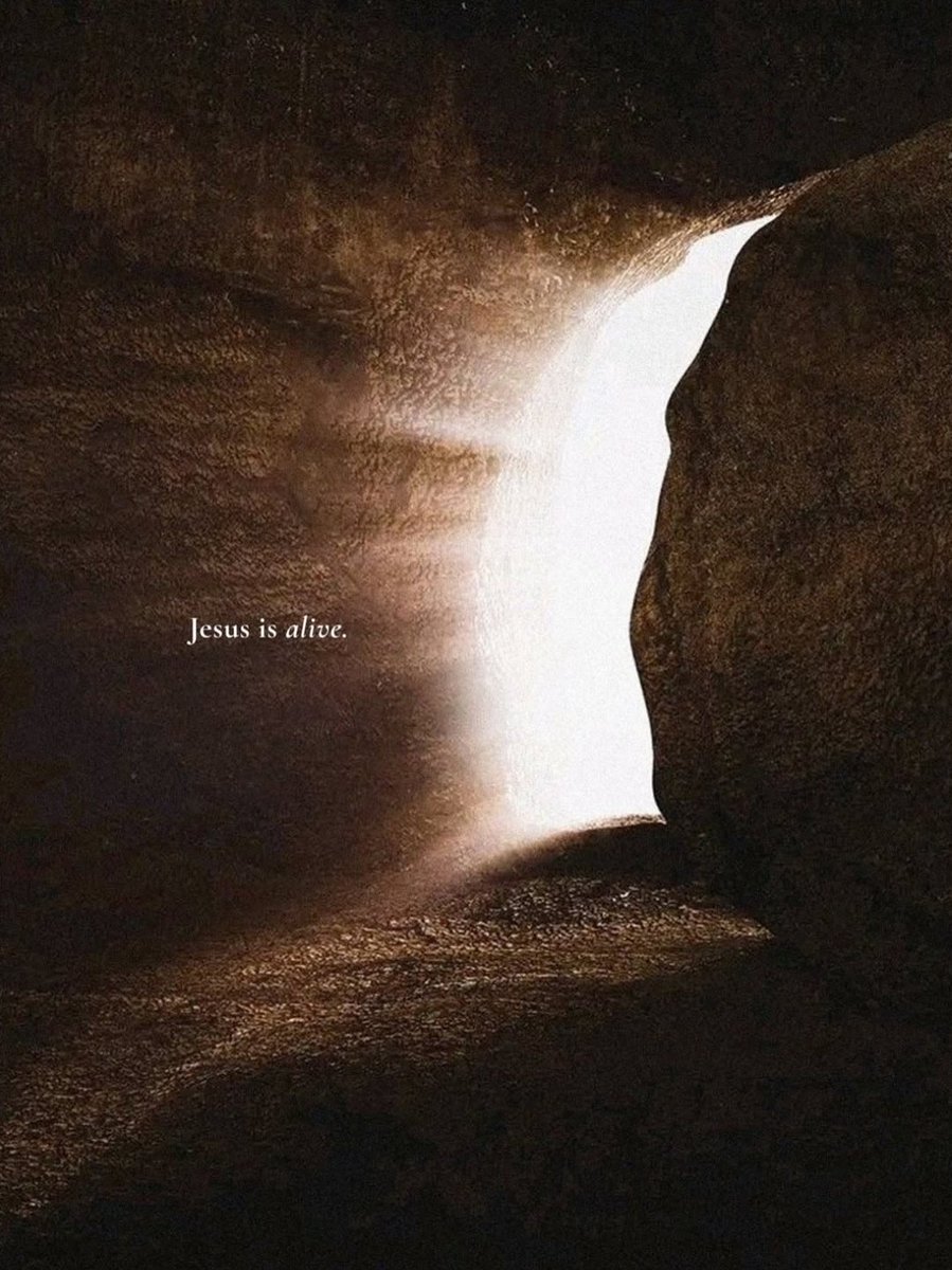 Planeta do Palmeiras 🌎 tweet media