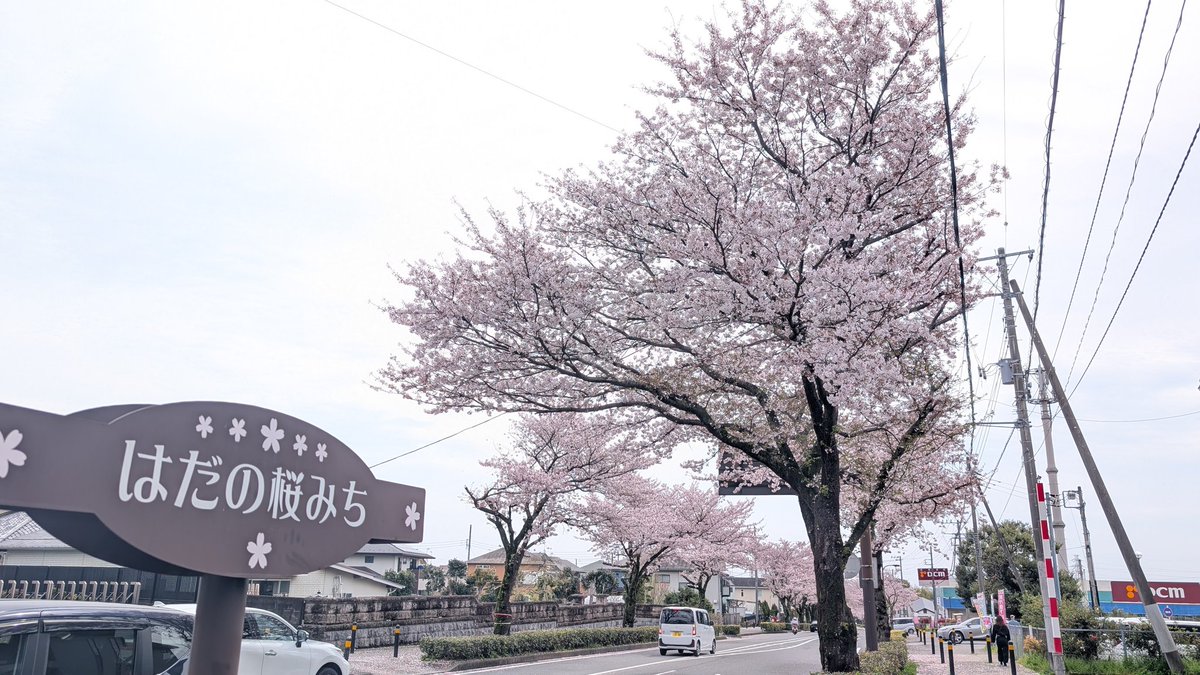 遊牧舎銕仙(回復中) tweet media