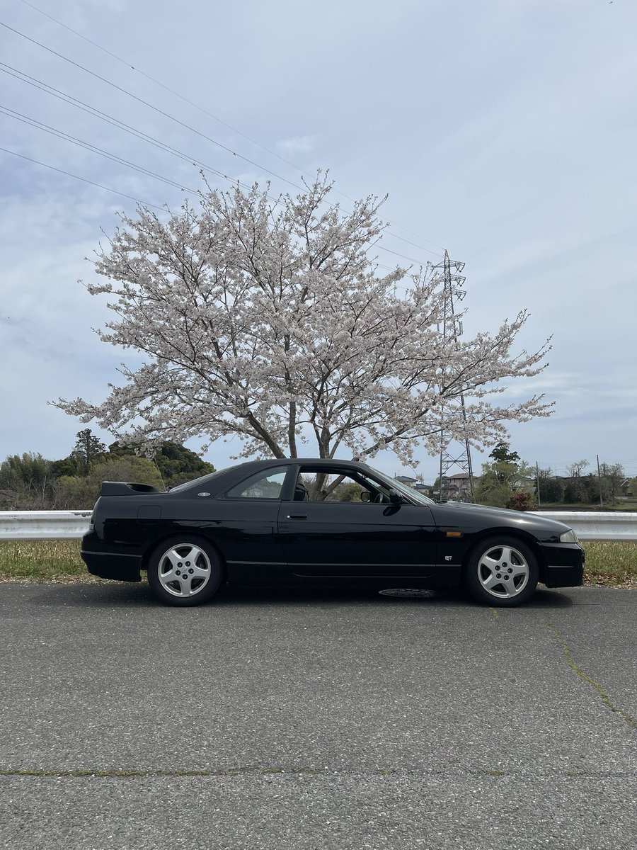 ショウキ tweet media