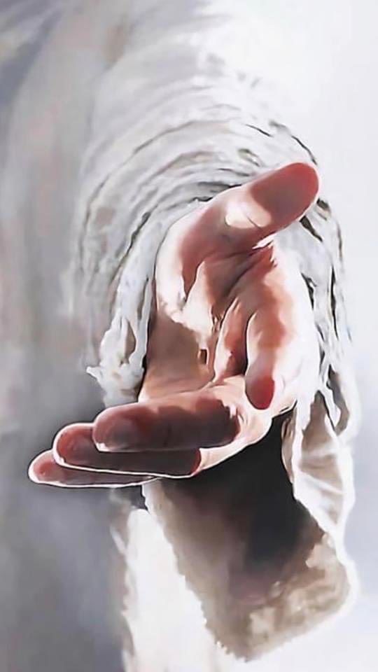 CJ🇺🇸🐶 tweet media