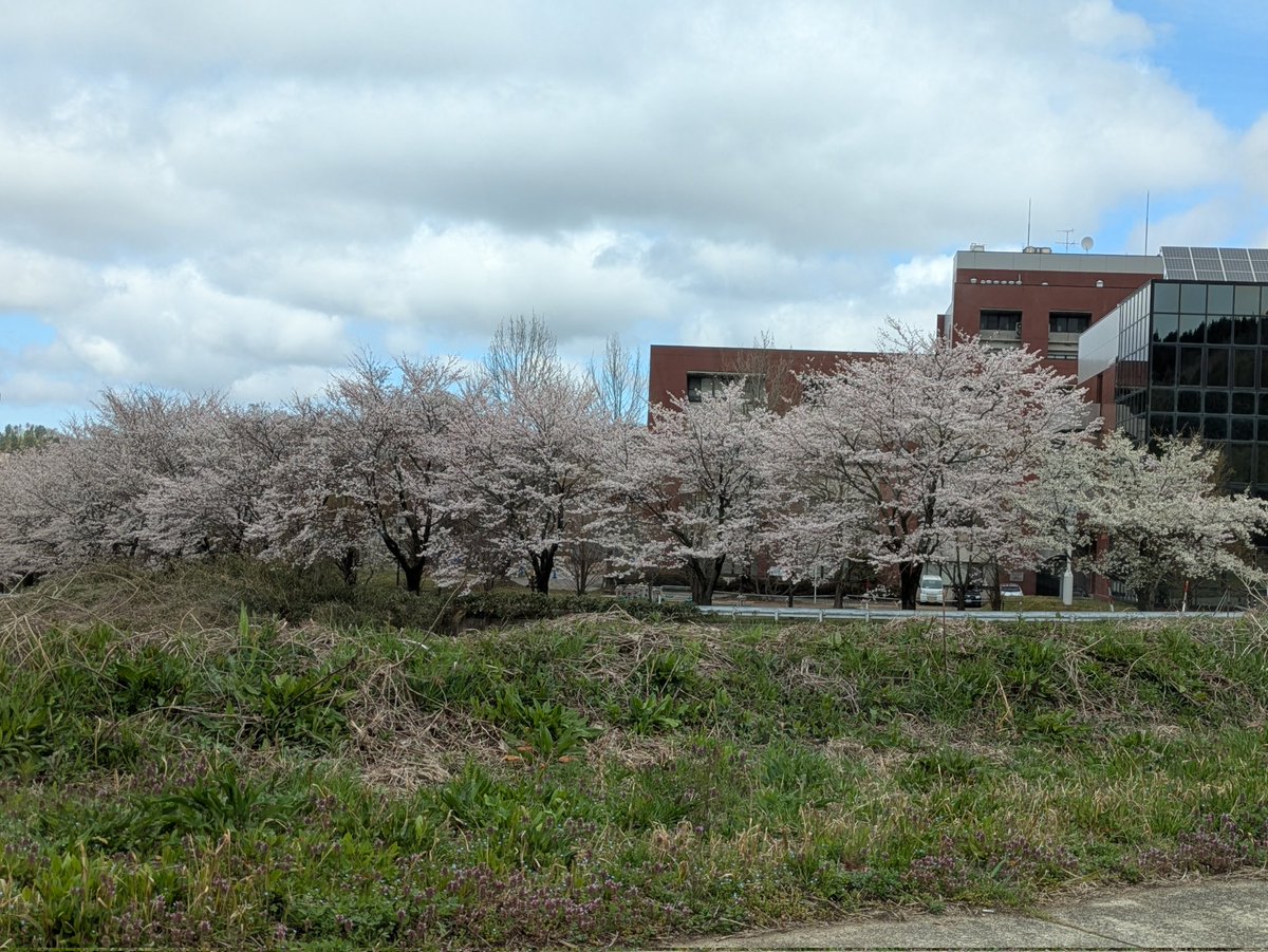 ごろり991 tweet media