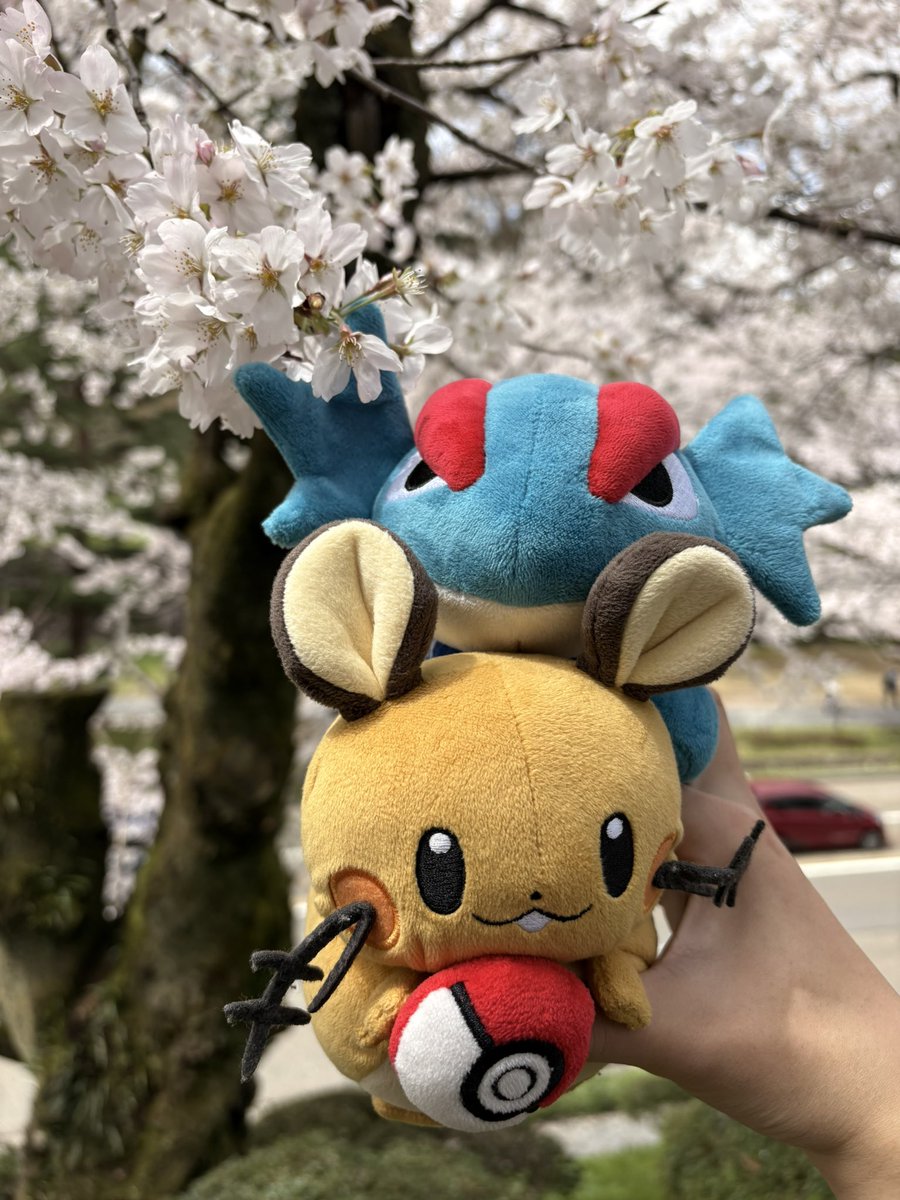 ぼーまんだをたおしたい tweet media