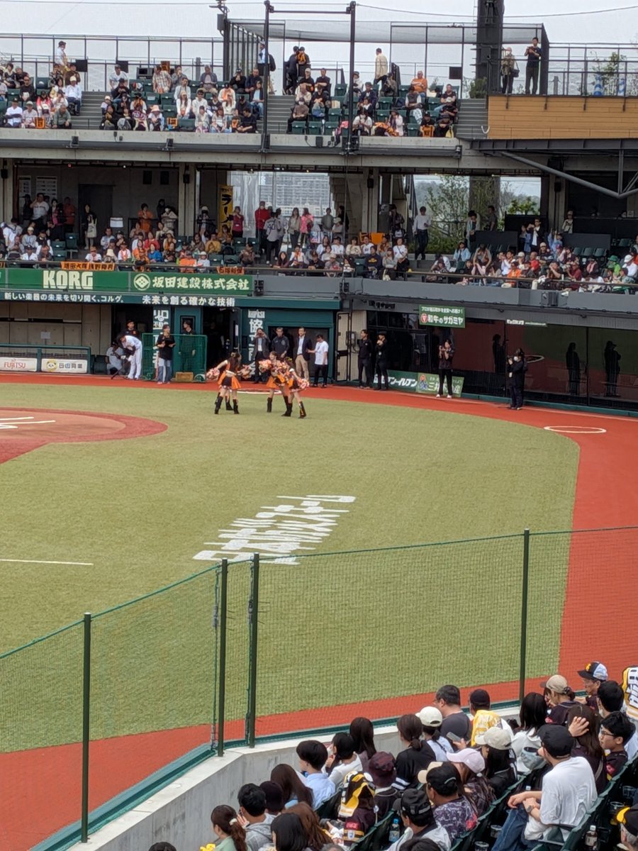 Bird Life tweet media