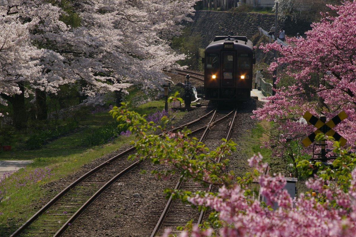 haruobb＠Photos tweet media