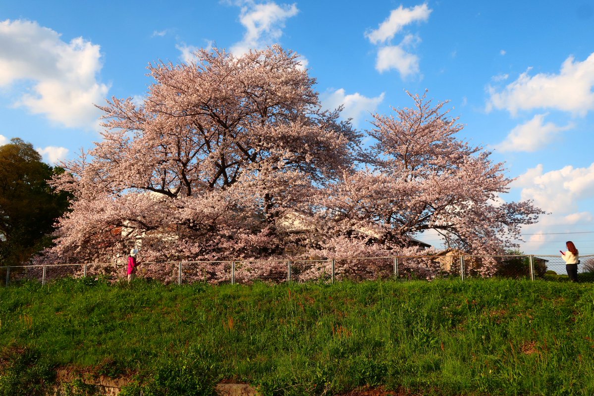 ｫﾑT=з宀 tweet media