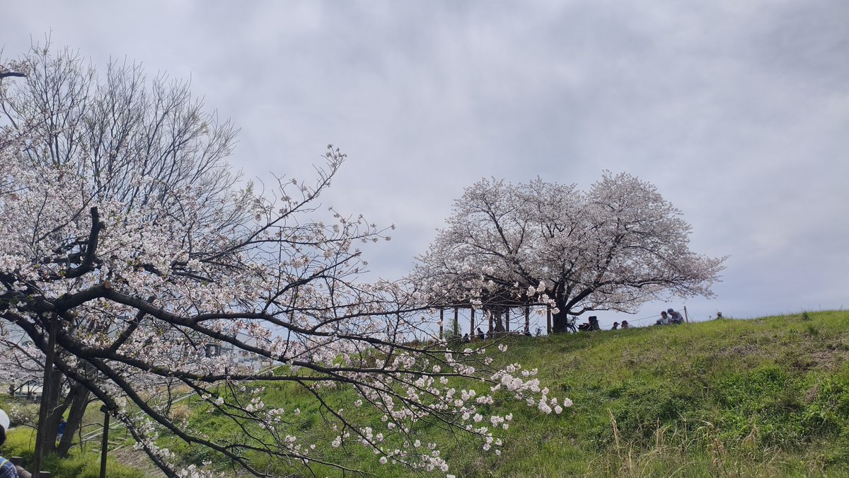 みちまん tweet media