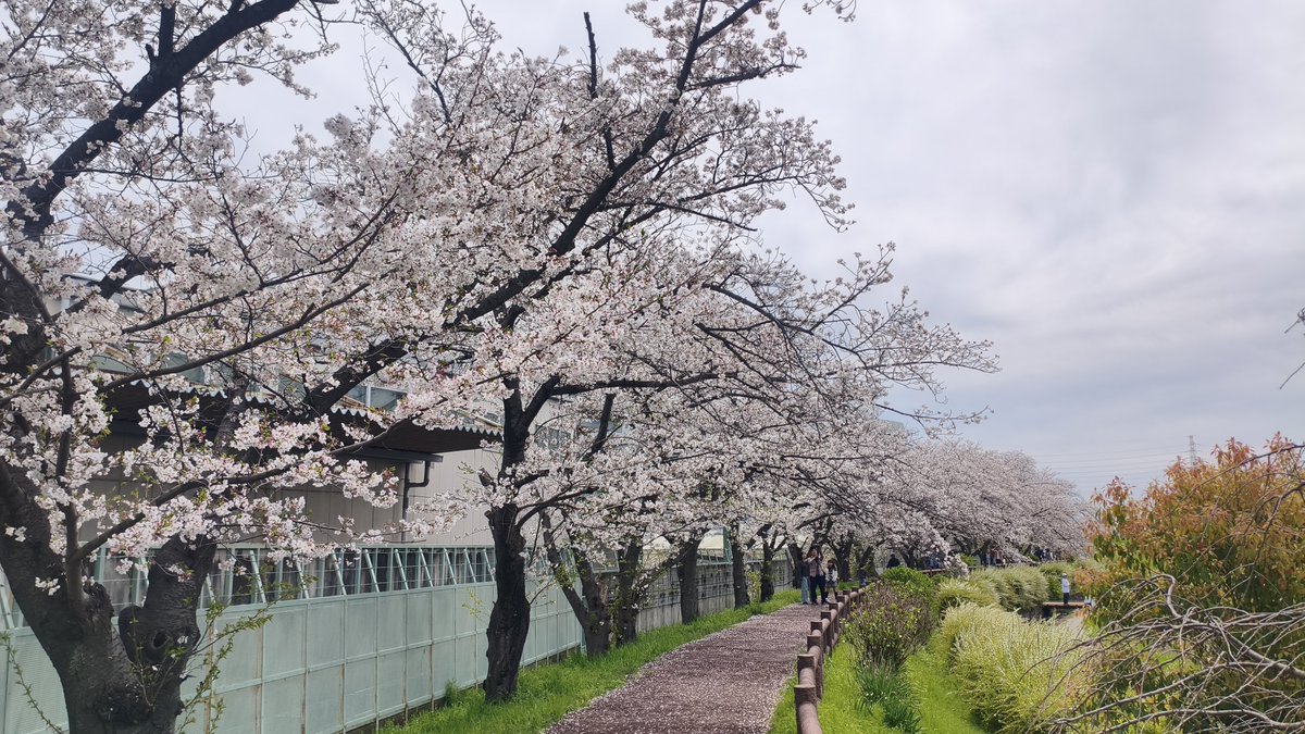 みちまん tweet media