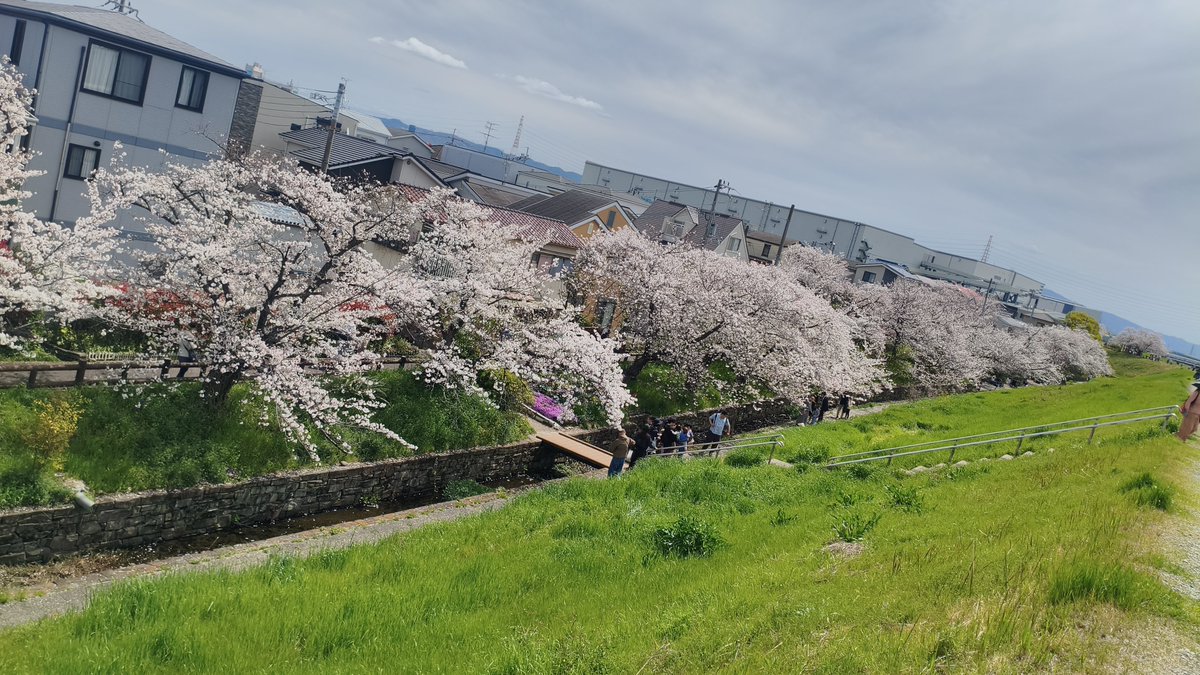 みちまん tweet media