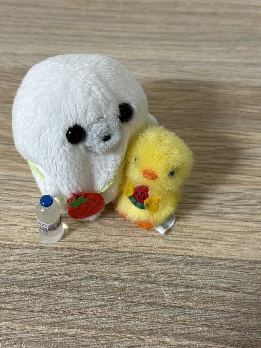 ロンちゃん tweet media