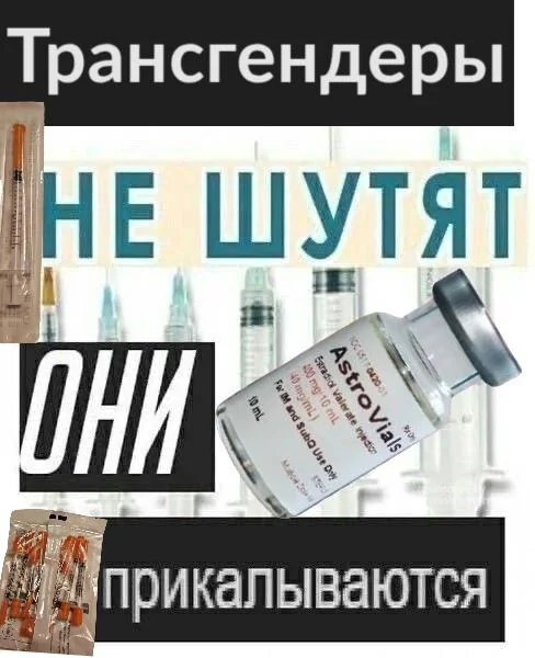 MORI the MEOW🎊 tweet media