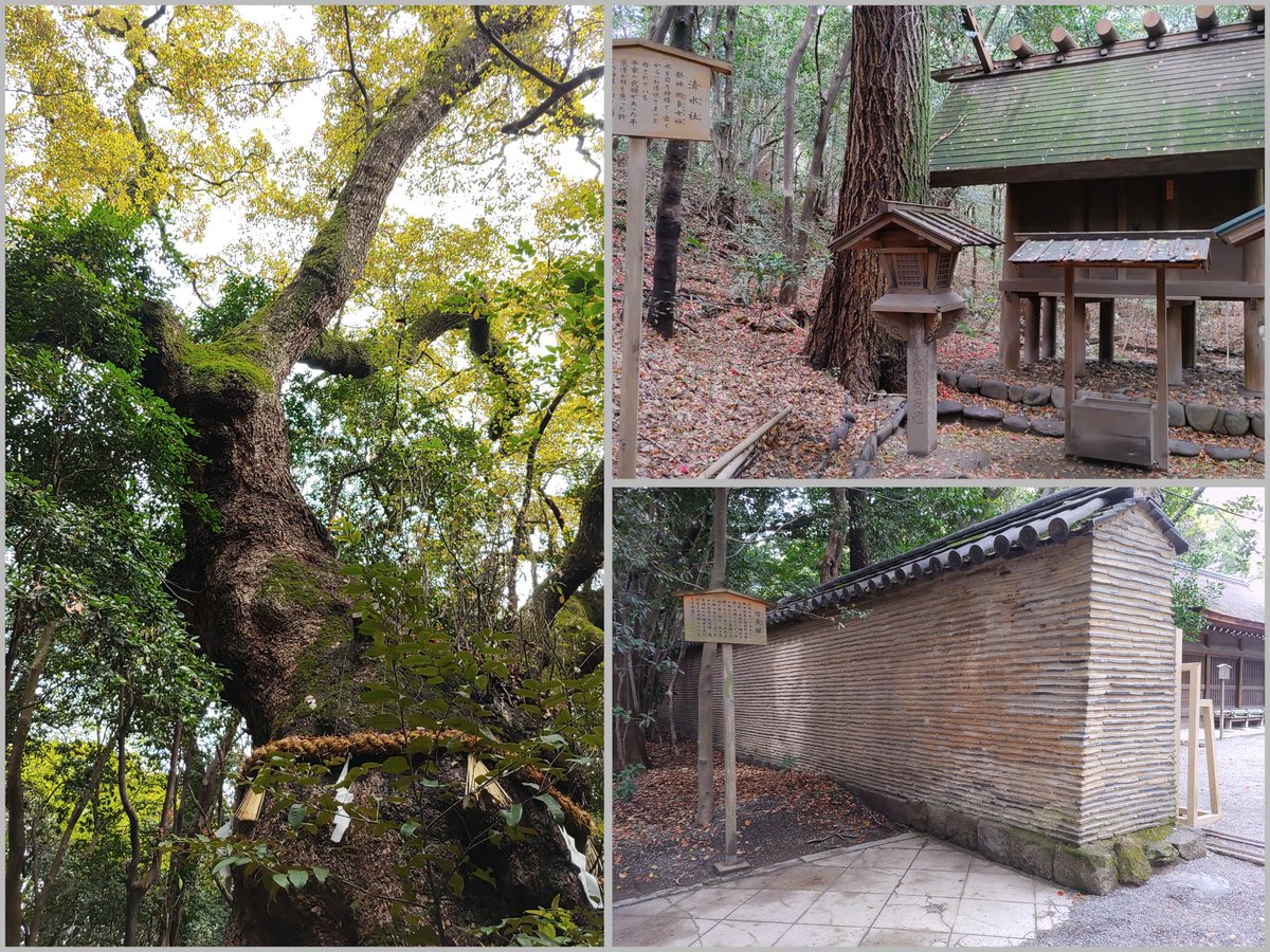 しおん tweet media