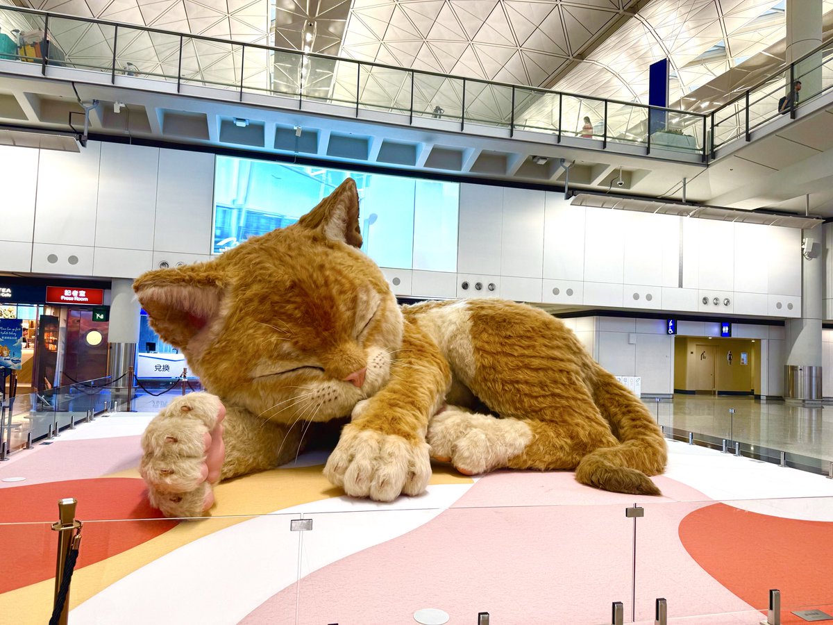 Max Chan.マックX・ちゃん tweet media