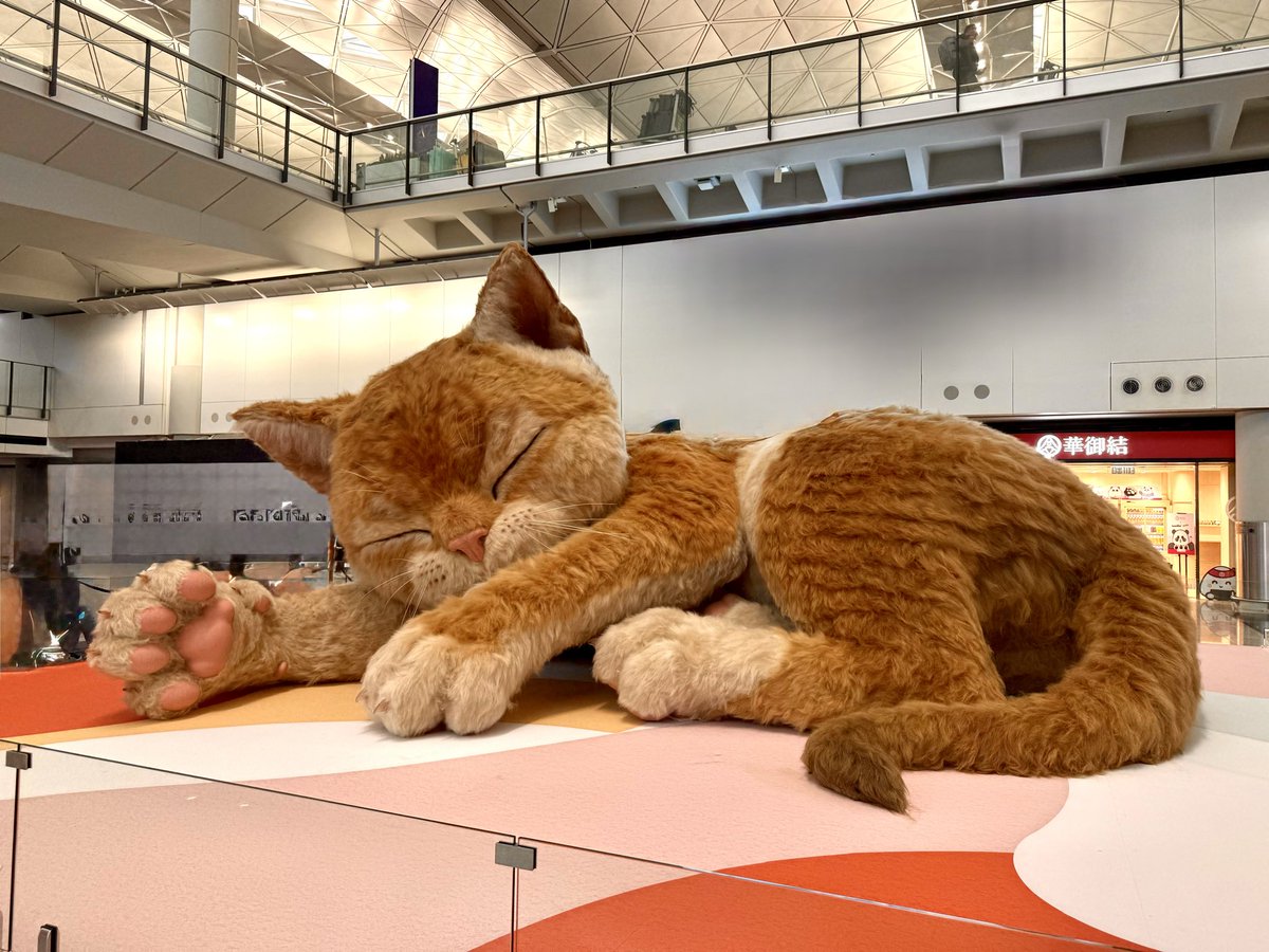 Max Chan.マックX・ちゃん tweet media