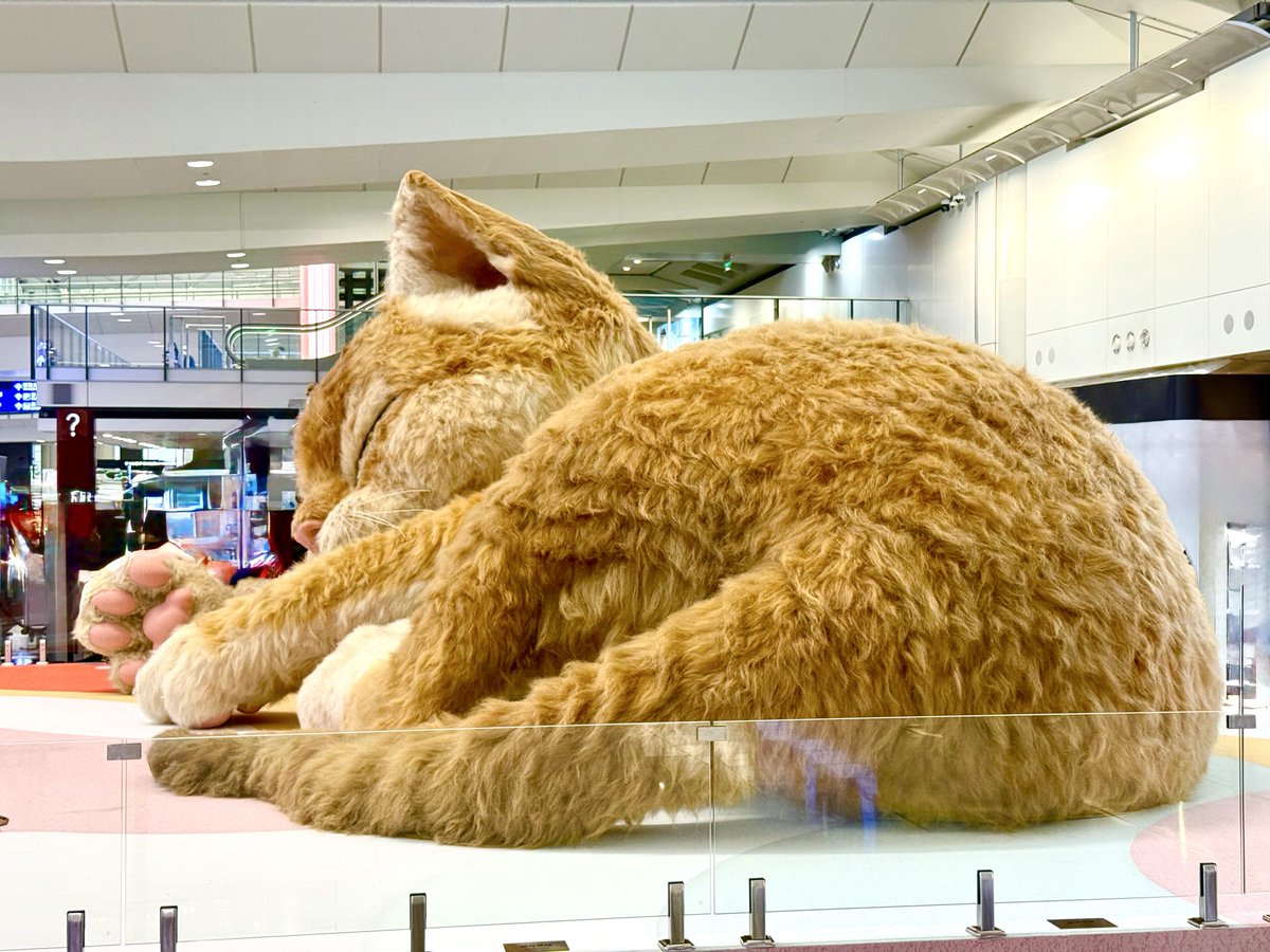 Max Chan.マックX・ちゃん tweet media