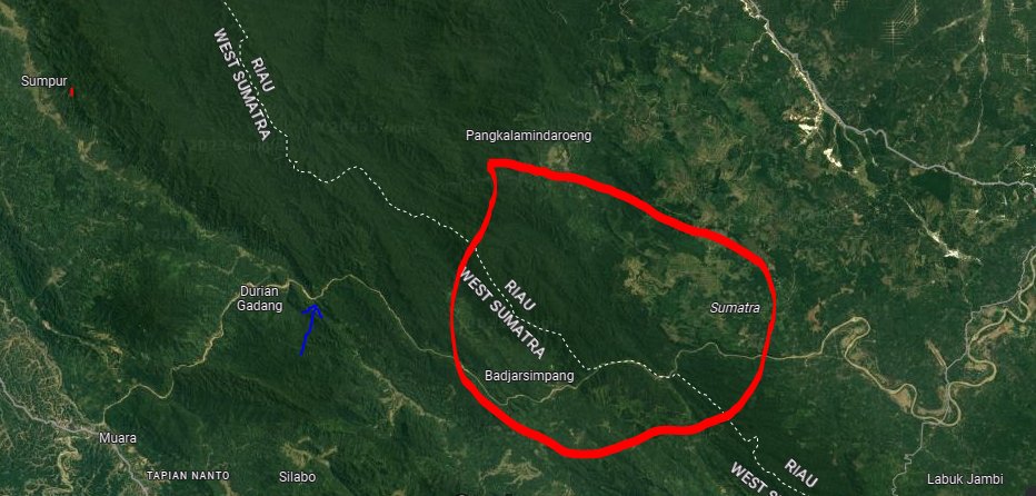 Padang Galir tweet media