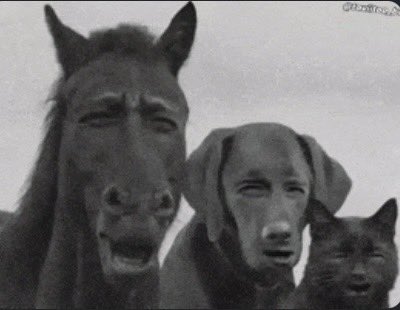 MrNFL2030 tweet media