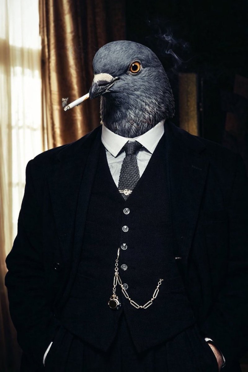 Captain TriPod tweet media