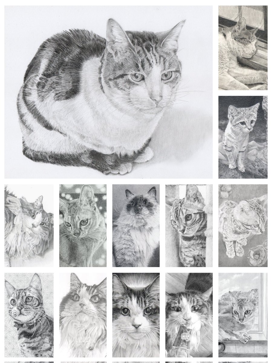 巴 tomoe tweet media