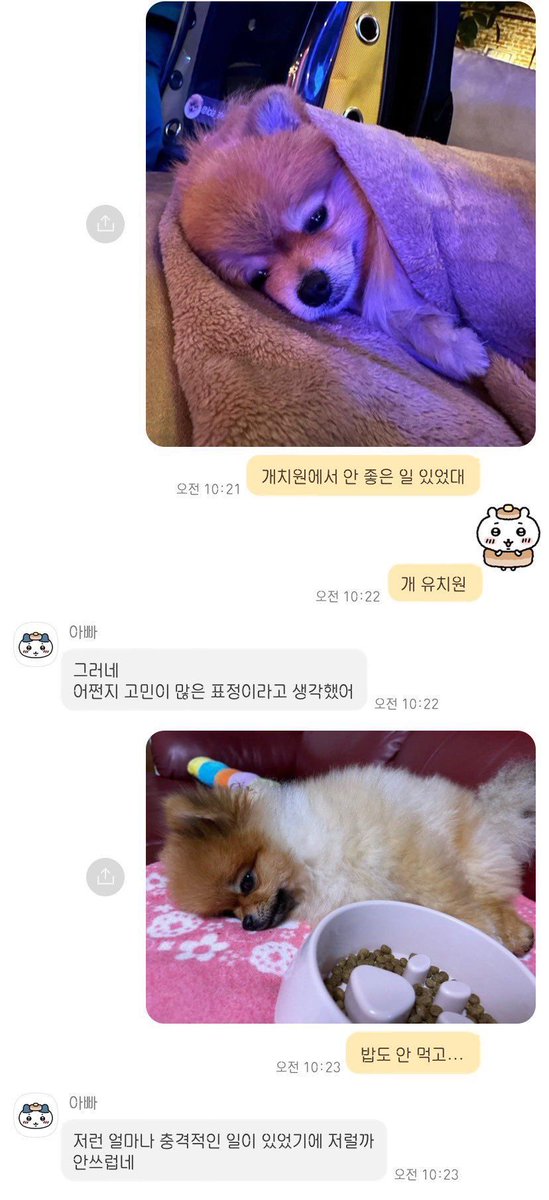 권필쌍 tweet media