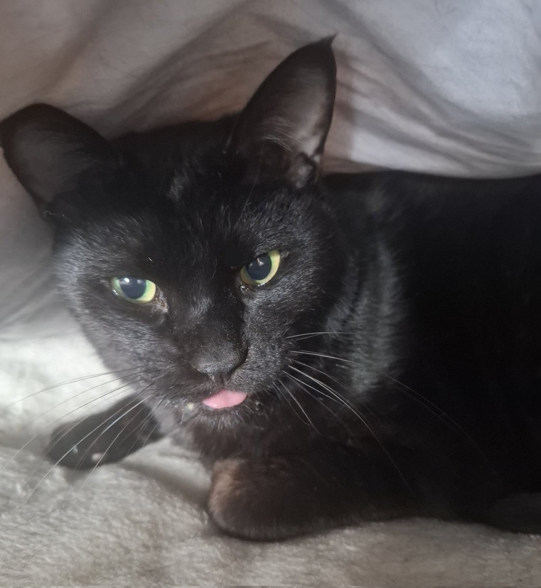 マッキー tweet media