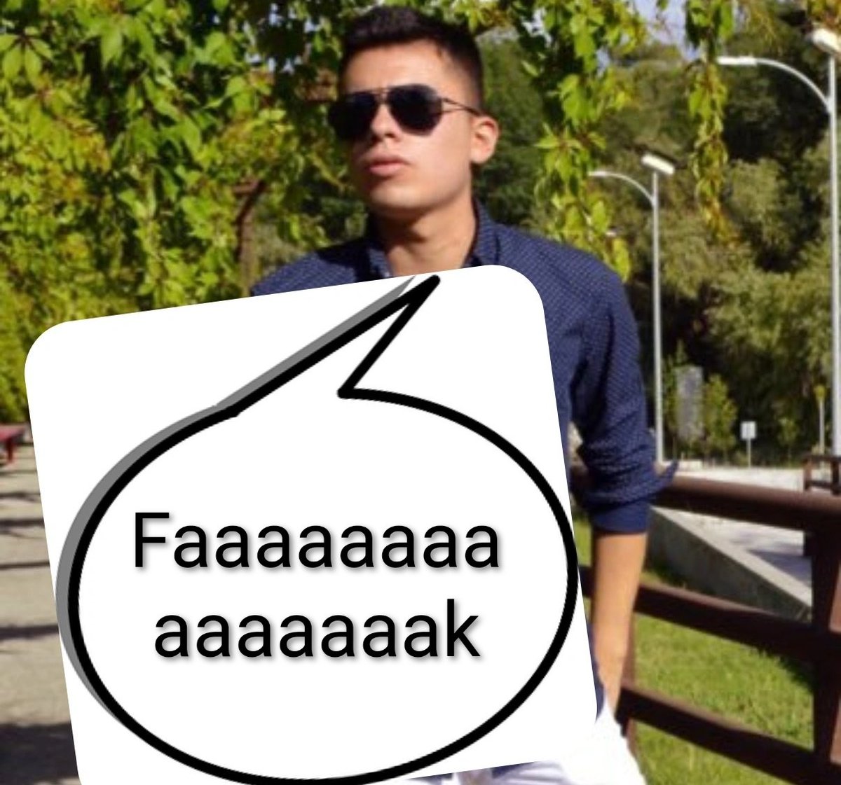 X Mister Bot tweet media