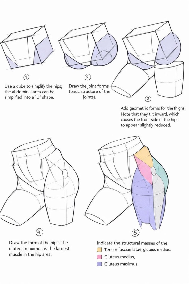 Geometric shapes are essential for the anatomy of drawings💕pt2 Save to ...