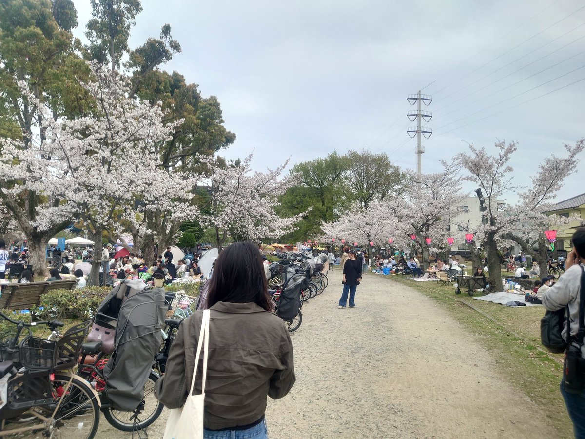 rta8284's tweet photo. 本日は嫁さんとサイクリングがてら西武庫公園に来て花見です！ https://t.co/HhVg0ovZWR