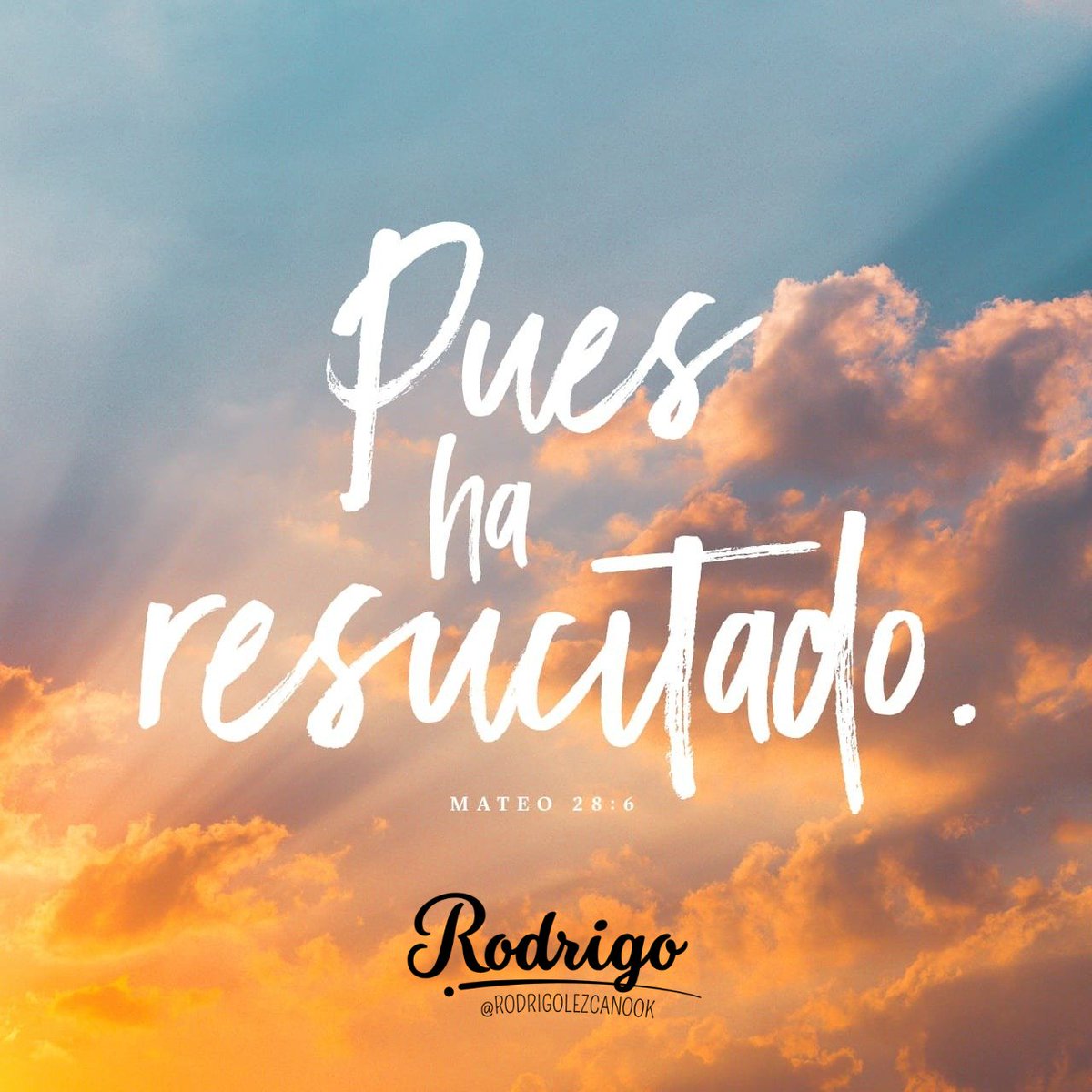 Rodrigolezcanok's tweet photo. Pues ha resucitado
Mateo 28:6 nos recuerda el mensaje de esperanza y renovación que nos trae la resurrección. 🌅💫 
📖 *Reflexión:* "No busquéis entre los muertos al que vive" (Mateo 28:6). Deja que esta verdad inspire tu día, llenándolo de luz y amor.

#PuesHaResucitado #Fe https://t.co/BSTO9lQlZO