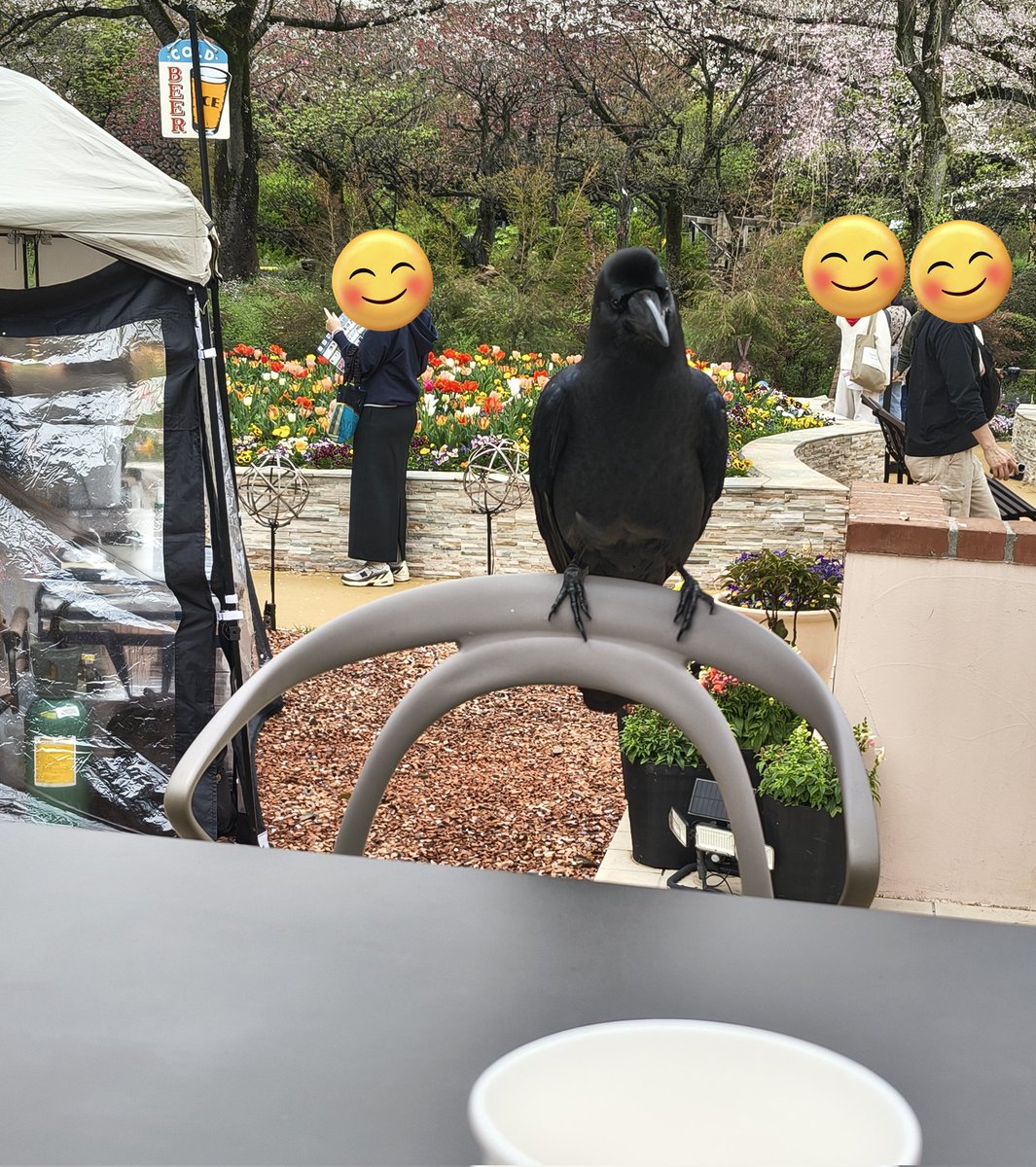 ひぐたん@アヤシイ壺 tweet media