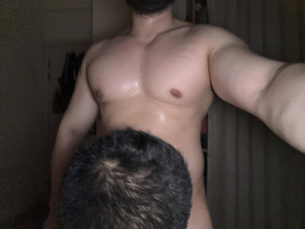 猫猫头最爱的猫猫头 tweet media