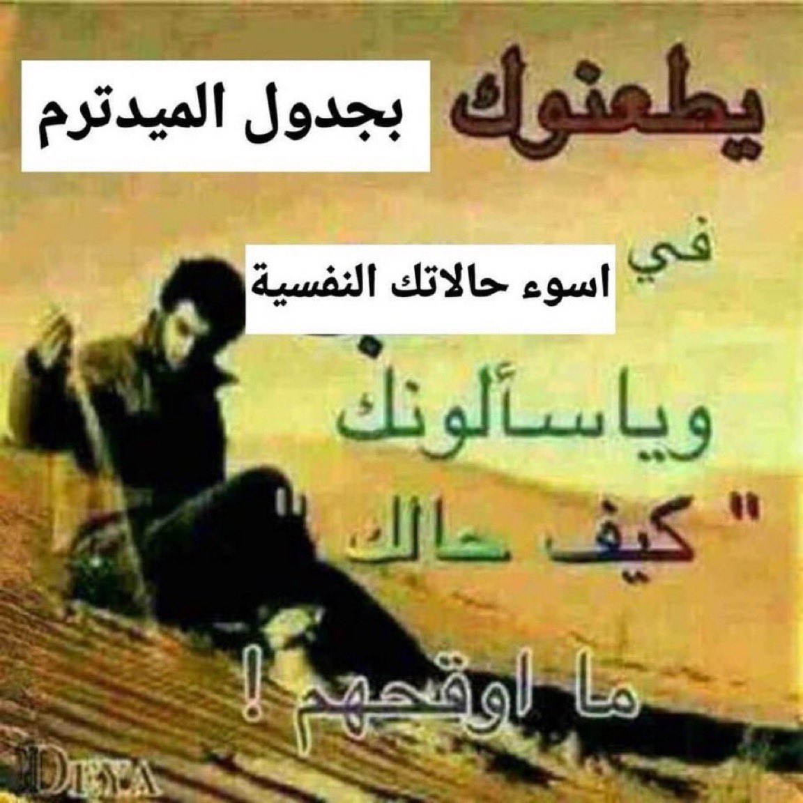 الـلّـولـو tweet media