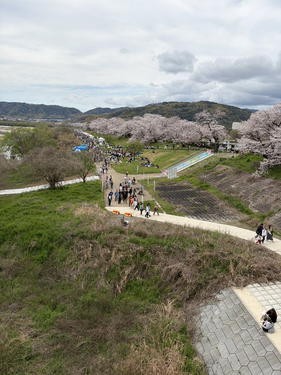 rakkusu78 tweet media