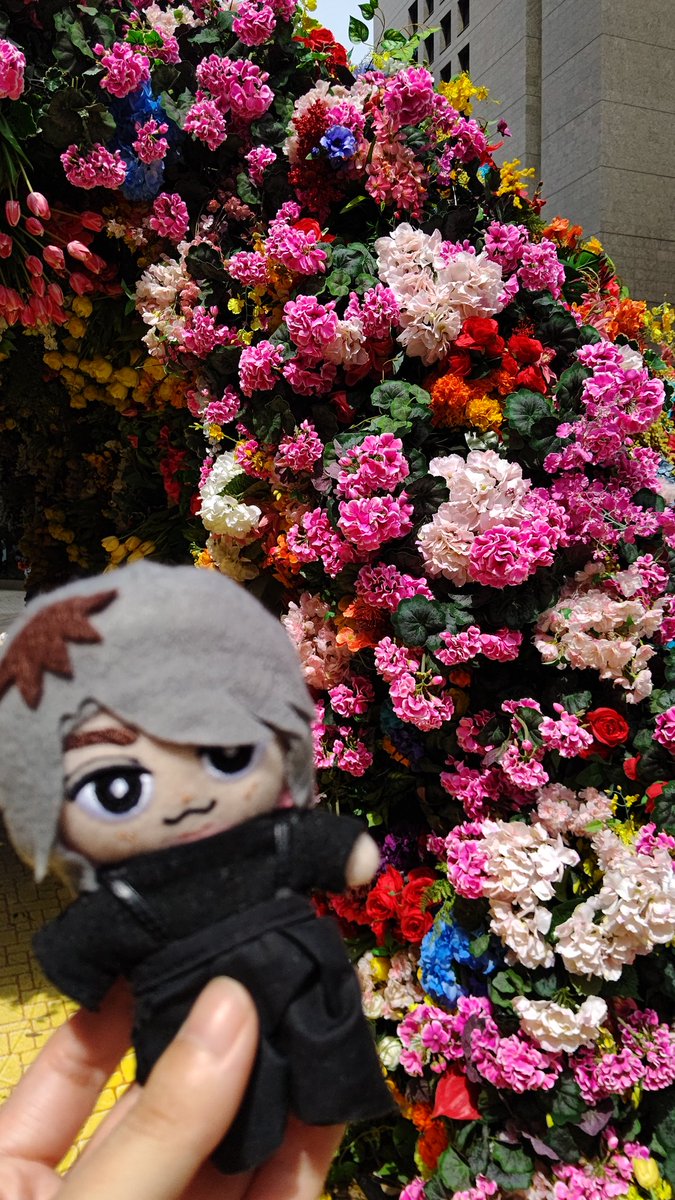 さ≒よ tweet media