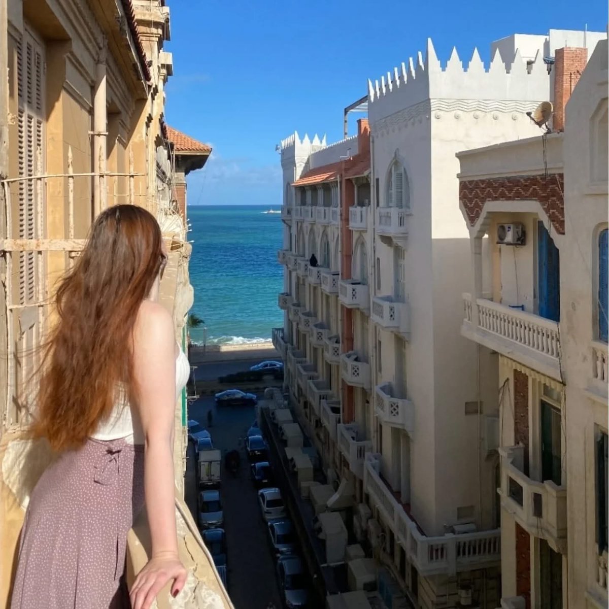 اسكندرية - Alexandria tweet media