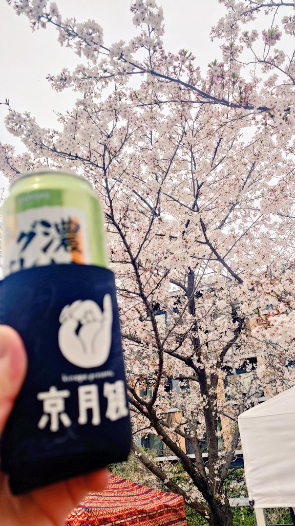 まぶ🐱 tweet media