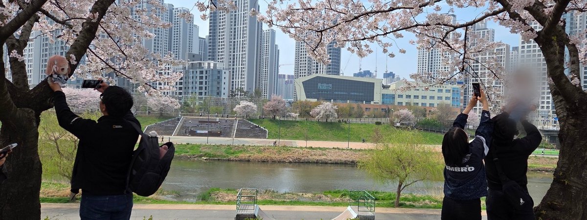 치르nobylP/Straylight XXXR,8th tweet media