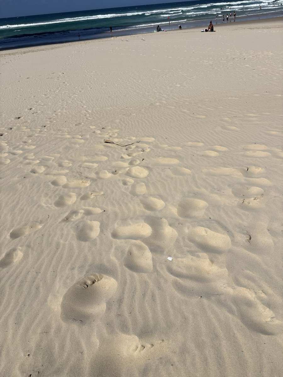 Just tried to sandwalk, couldn’t recall what was said in the filmbooks back home on Caladan