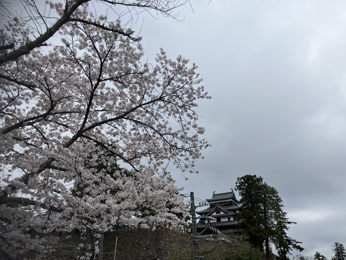 デービンソン・スレギ tweet media