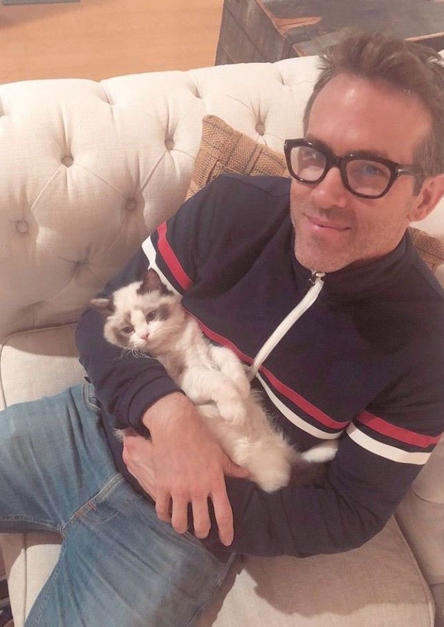 동그리 tweet media