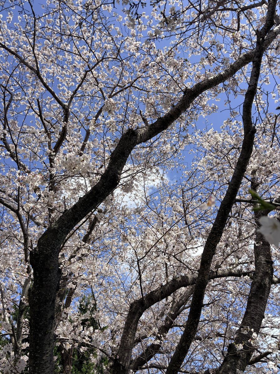 りゅうちゃん tweet media